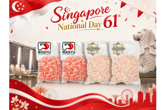  [Bundle of 4] Mix Minced Beef & Pork *NDP61