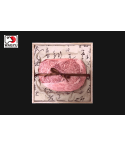 [LIMITED EDITION] Japanese Premium Wagyu A5 Steak Gift Box 400g