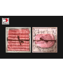 [LIMITED EDITION] Japanese Premium Wagyu A5 Gift Box Bundle 800g 